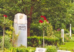 Grabstein Annie Kalmar